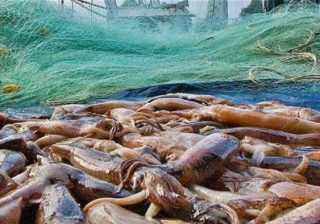 Solo la intransigencia británica sostiene la Pesca Ilegal en Malvinas dentro de aguas jurisdiccionales de la República Argentina