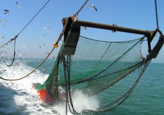 ROBAR A LO GRANDE: Los colonos británicos que usurpan Malvinas incrementaron los aranceles de pesca en un 50 por ciento