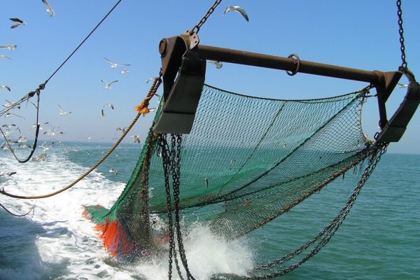 ROBAR A LO GRANDE: Los colonos británicos que usurpan Malvinas incrementaron los aranceles de pesca en un 50 por ciento