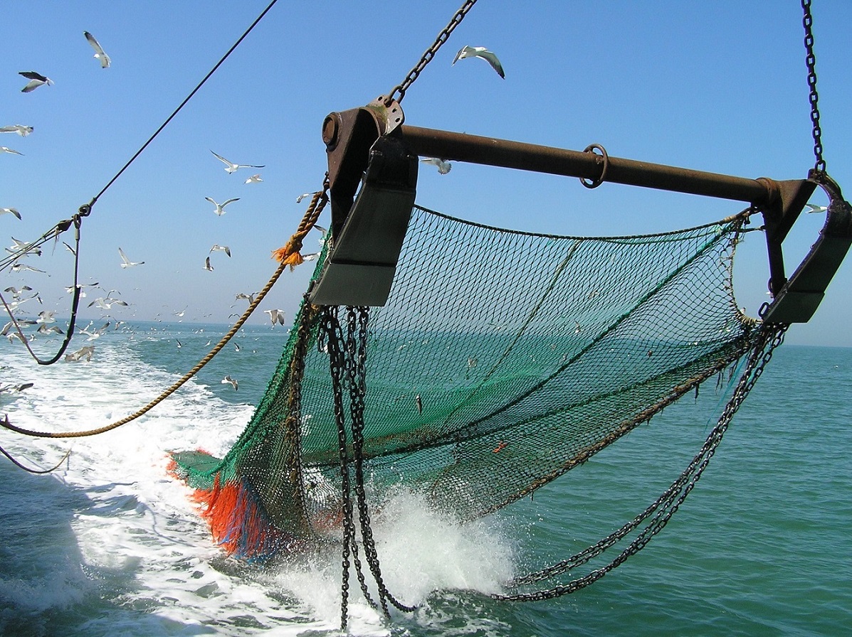 ROBAR A LO GRANDE: Los colonos británicos que usurpan Malvinas incrementaron los aranceles de pesca en un 50 por ciento