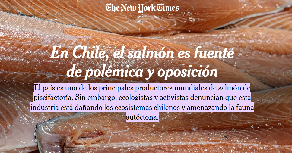 The New York Times highlights the salmon farming controversy